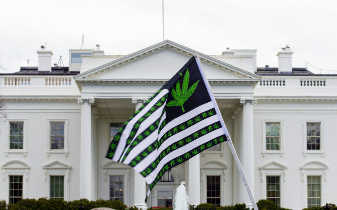 The House Approved It, So When Will The US Legalize Marijuana?