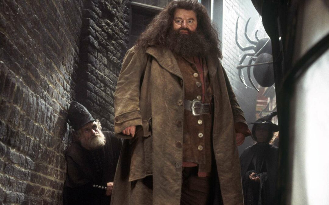 Before His Death, Harry Potter Actor Robbie Coltrane Was Suffering From An Infection