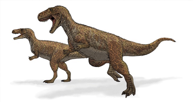 A ‘Megalosaurus-Like Theropod’ Print Discovered In England Belonged To A Dinosaur