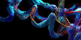 How Protein’s Power Is Being discovered