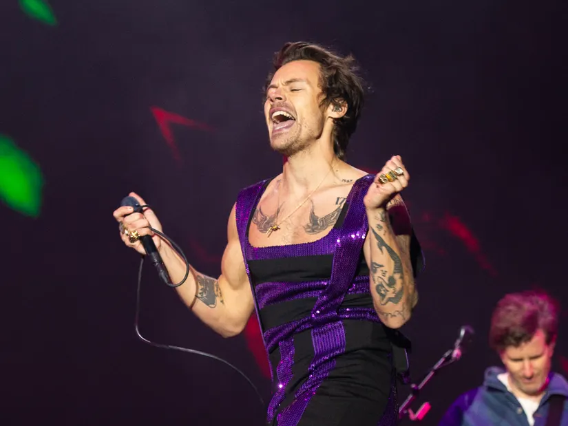 Harry Styles Interrupts His Show To Aid A Fallen Fan