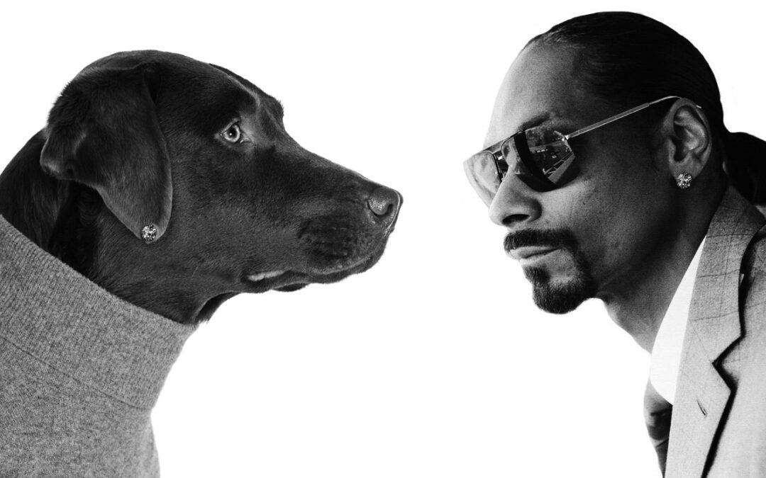 Snoop Dogg Signs Petco Partnership – Ad Spots, Branded Pet Products, And More