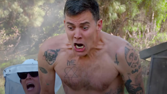 Steve-O Was arrested After Jumping Off The Tower Bridge