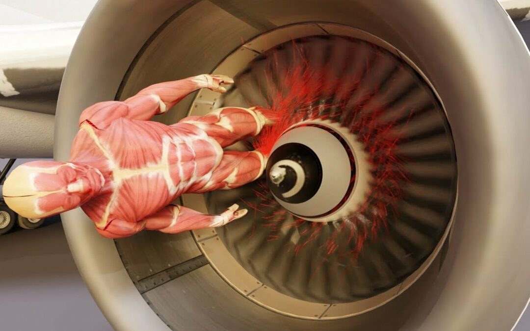 A Terrifying Simulation Depicts What Would Happen If You Fell Into A Jet Engine