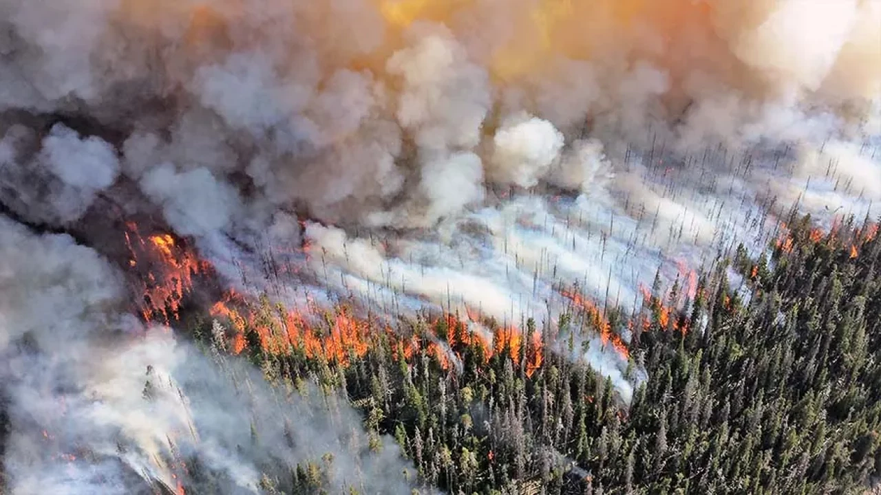 Carbon Emissions From Wildfires In Canada In 2023 Set New Records