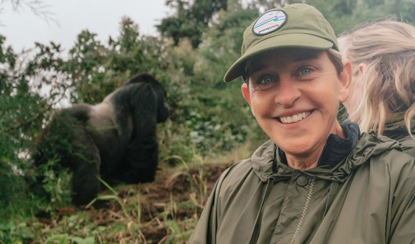 Ellen DeGeneres Is Coming Back To Television With A Two-Hour Special On Gorilla Conservation