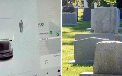 A Man Driving A Tesla At Night Through A Cemetery Is Startled To See “Ghosts” Appear On The Screen