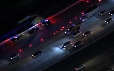 L.A. Police Chase Bloody-Face Woman Goes Wrong Way On Freeway, Slams Into Oncoming Traffic