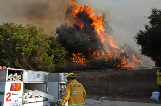 Buildings Are Shielded From The Hollywood Hills Brush Fire By Firefighters